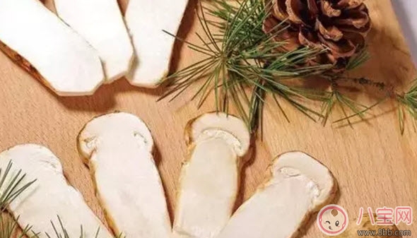 营养|孕妇可以吃松茸吗 适合孕妇的松茸做法