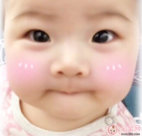 明星|贺军翔女儿照片 贺军翔女儿美宝多大了