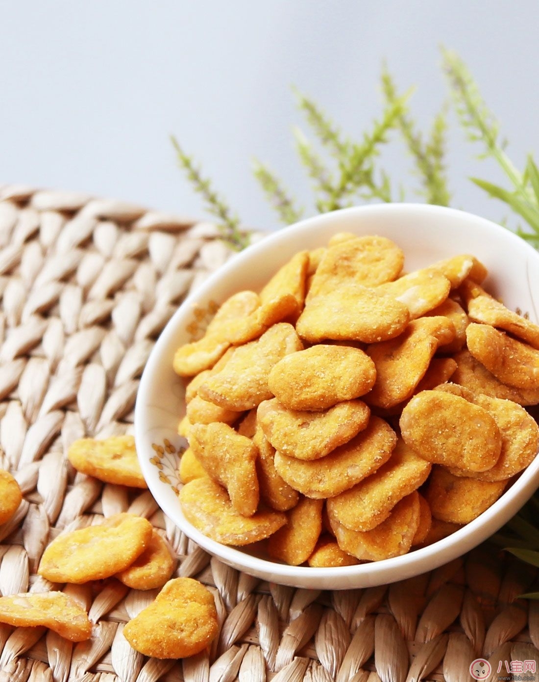 饮食|蚕豆症饮食禁忌 蚕豆症宝宝应该要避免哪些物品？