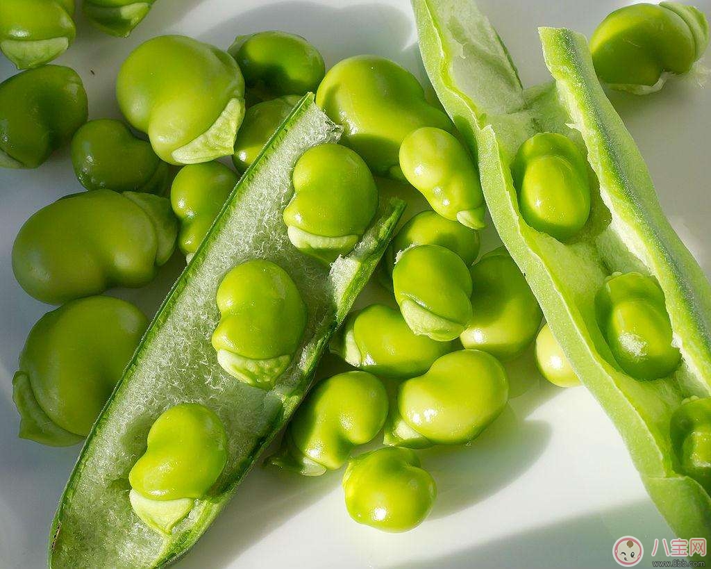 饮食|蚕豆症饮食禁忌 蚕豆症宝宝应该要避免哪些物品？