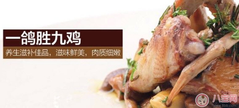 营养|孕妇可以吃鸽子肉吗 孕妇喝鸽子汤的营养好处