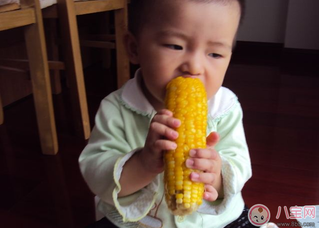 玉米|吃玉米竟然有这么多的好处 快给宝宝准备上玉米大餐