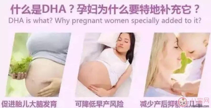 营养|孕妇有必要补充dha吗 孕妇怎么补充dha