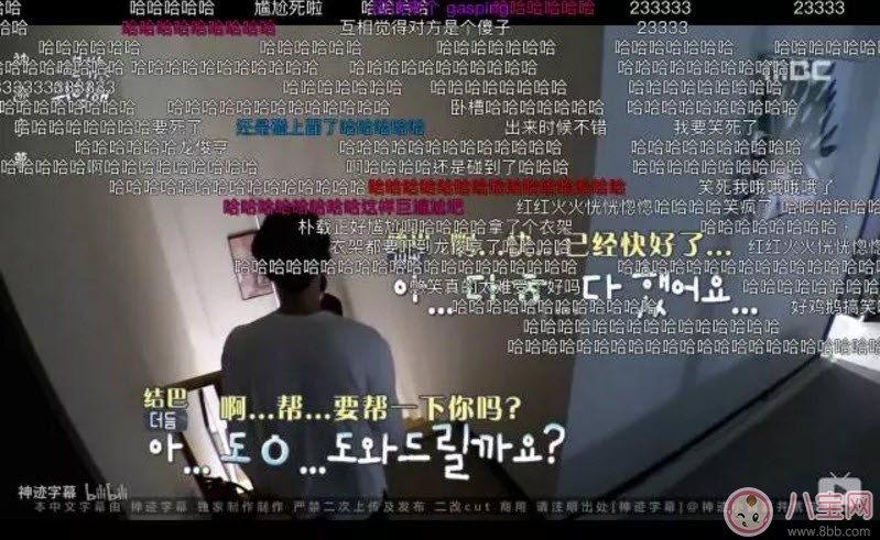 节目|被子外面很危险是什么综艺节目 被子外面很危险为什么火(尬到好笑)