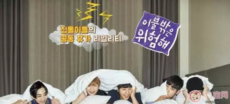 节目|被子外面很危险是什么综艺节目 被子外面很危险为什么火(尬到好笑)