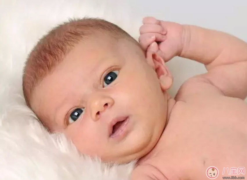 耳朵|宝宝喜欢摸自己耳朵是怎么回事 四个月宝宝经常用手抓耳什么原因