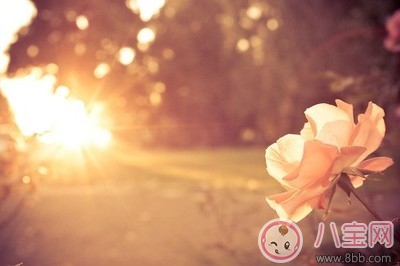 善良的人|微博网易云里用烂了的评论 剖析为什么用烂了依旧戳心