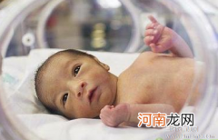 早产儿的家庭护理