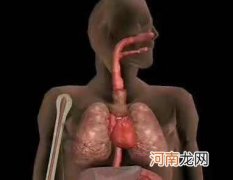 小儿哮喘为何要心理治疗？