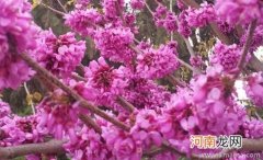 早教防治早产儿智力低下