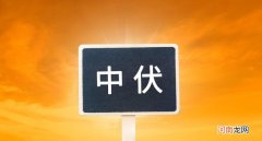 今中伏建议少吃大鱼大肉 中伏吃什么蔬菜好