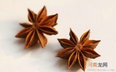 孩子别盲目用八角茴香防流感