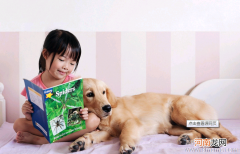 与猫狗亲密接触小心白癣袭击