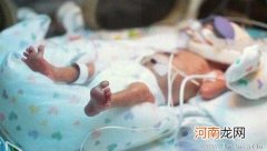 早产儿应该补什么