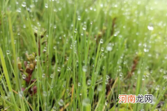 南京每年的清明节冷吗2022