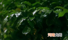 2022清明节天津会下雨吗