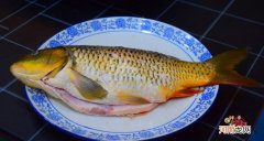 鲤鱼最好吃的5种家常做法 鲤鱼5种最下饭的做法