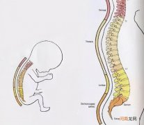 “头”等大事，新生儿枕头使用须知 婴儿枕头叠法