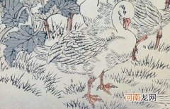 2022年属虎男孩喜庆点的小名 听着就会快乐的乳名