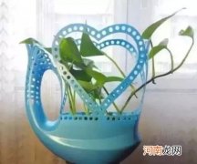 洗衣液桶剪几刀就变养花神器 空洗衣液瓶做花盆图案