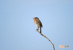 怎么做修复冷冰冰的婚姻呢 没有沟通的婚姻还能不能继续