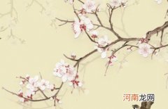 2022年年底出生自由自在的男孩名字 向往自由又热爱生活