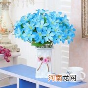 过期奶粉能做花草的肥料吗 婴儿奶粉可以浇花吗