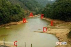 夏天只要换用这钓法，铁定比秋鲤鱼钓更痛快
