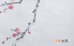 2022年寓意阳光乐观开朗的名字男孩 名字取得好宝宝人人爱