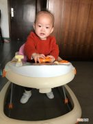 学步车怎么选 宝宝多大可以用学步车最好