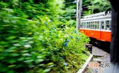 ?出境旅游的自我保护 避免卷入不必要的麻烦