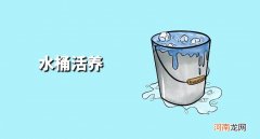 大闸蟹怎么存放 大闸蟹怎么保存才新鲜