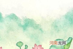 2022虎年蔡姓女孩叫什么名字高分 2022属虎姓蔡的女孩名字高贵