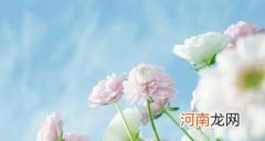 尿道炎常见的症状有哪些 女性尿道炎会有什么样的症状