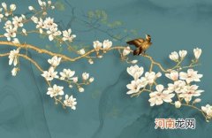 2022年9月13日适合女孩起名的字 虎年有凤凰寓意的女孩名字