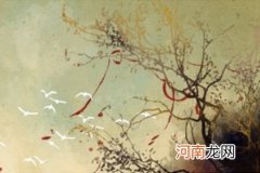 2022年9月16日出生虎年姓杨最旺男孩名字 别具慧眼勇往直前