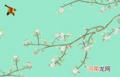 2023年初李姓男孩叫什么名字好 兔年寓意英勇帅气的男生起名