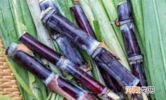 甘蔗的功效与作用 吃甘蔗的好处
