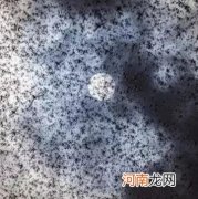 古代发生“蝗灾”时，为何灾民宁愿挨饿也不吃蝗虫！