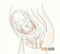 胎儿的其他感觉功能 怀孕五个月胎儿发育怎样