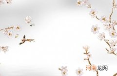 2023年出生贺姓属兔男孩名字大全 兔年寓意男孩心思缜密的名字