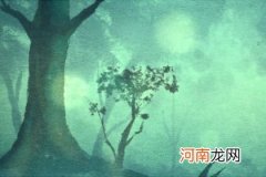 2022年10月6日出生女孩是什么命 虎年冯姓女孩100分名字