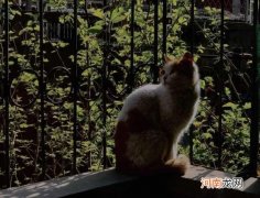 手机拍照如何合理调节曝光