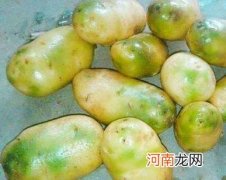 绿皮土豆怎么处理才能吃，土豆发芽了还能吃吗