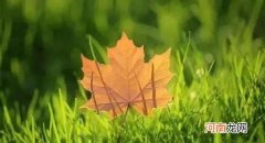 8个管理负面情绪的好习惯 管理负面情绪的8个好习惯