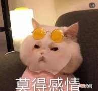 冷笑话/脑筋急转弯合集 脑经筋急转弯冷笑话