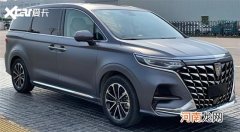 曝荣威iMAX8四座版申报图 可选双色车身