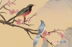 2023卯兔年出生兔宝宝600个高能起名 属兔特别有古韵感名字