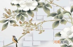 2022年10月1日出生男孩名字取什么字最好 虎年寓意男孩成就大事的名字