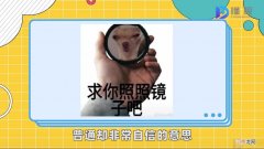 普信是什么意思